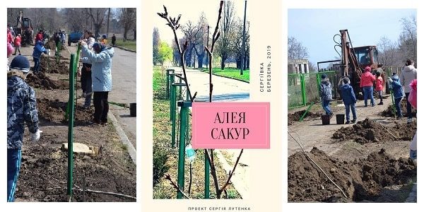 Наша з вами «Алея сакур» зустрічає свою першу весну!